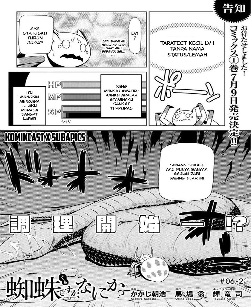 Kumo desu ga, Nani Ka?